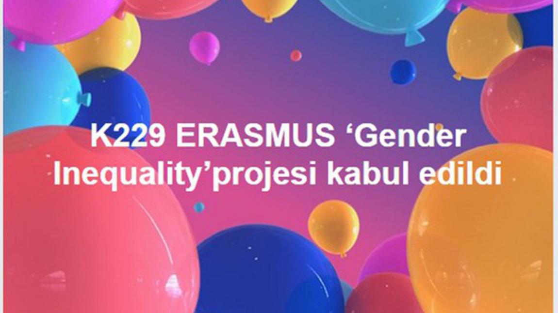 Our erasmus project against gender discrimination has been accepted. 
